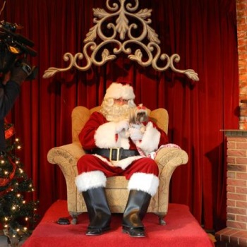 2011 Photos with Santa