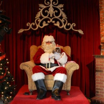 2011 Photos with Santa