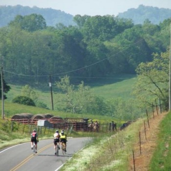 Big Hill Challenge